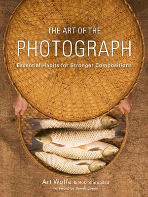 cover image of The Art of the Photograph